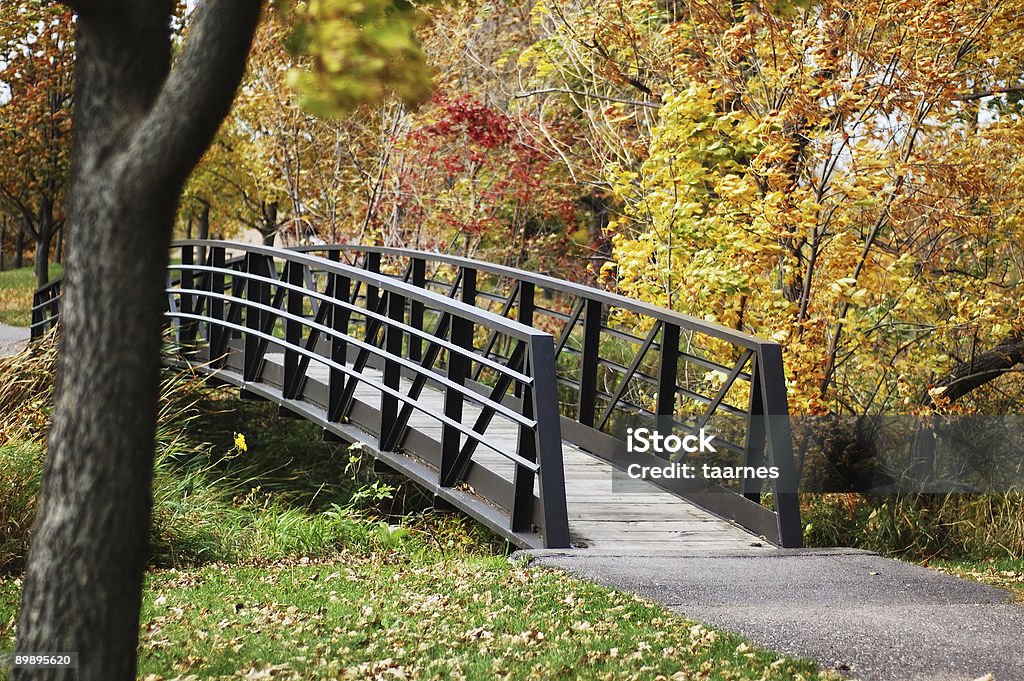 Passerelle en couleurs d'automne - Photo de Arbre libre de droits