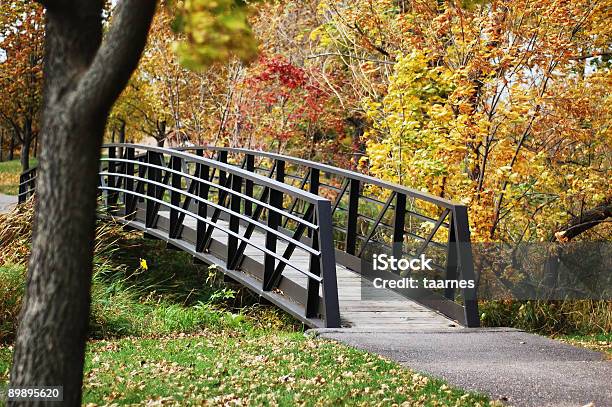 Ponte Pedonale Con Colori Autunnali - Fotografie stock e altre immagini di Albero - Albero, Autunno, Colore descrittivo