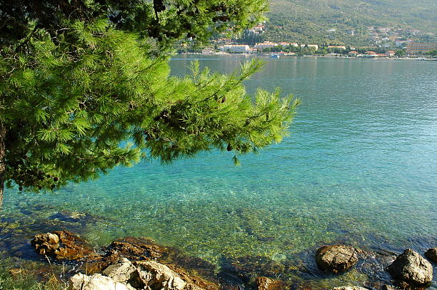 Rocky Beach, Cavtat, Croatia.  cavtat photos stock pictures, royalty-free photos & images