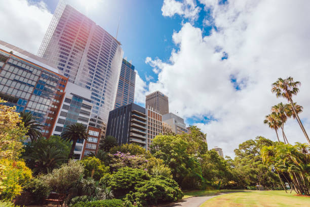 istock Skyline seen from the park in big city 898959238