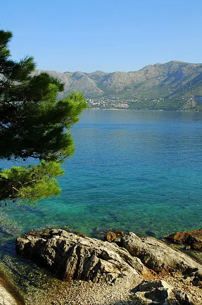 The rocky Adriatic shoreline at Cavtat, near Dubrovnik.