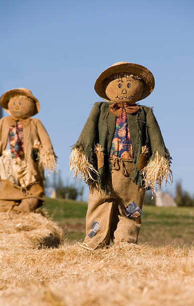 осенний пугало - child autumn scarecrow decoration стоковые фото и изображения