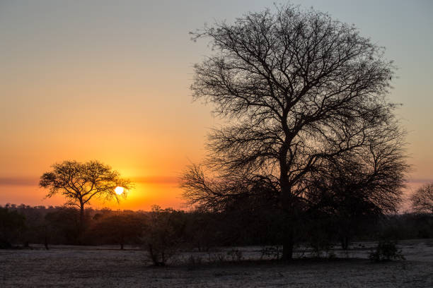 istock Sunset over the Savanna, South Africa 898966090