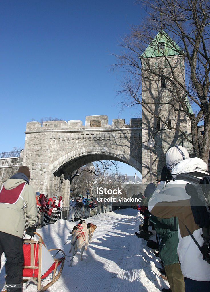 Quebec City, Snow Festival, dog sled competition  Winter Stock Photo