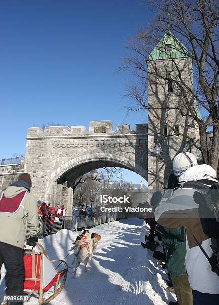 Quebec City Snow Festival Dog Sled Competition Stock Photo - Download Image Now - Winter, Canada, Quebec City