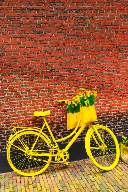 istock Vibrant yellow bicycle flowers, rustic brick wall 898972338