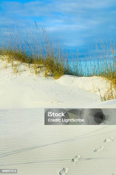 Photo libre de droit de Pas Sur La Dune De Sable banque d'images et plus d'images libres de droit de Caroline du Nord - État américain - Caroline du Nord - État américain, Littoral, Protection