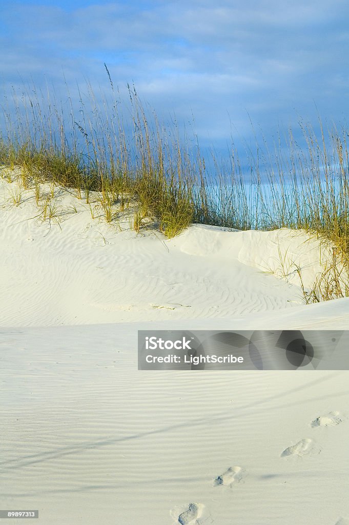 Passos na Duna de Areia - Royalty-free Beira d'Água Foto de stock