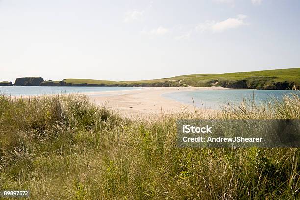 Photo libre de droit de La Plage banque d'images et plus d'images libres de droit de Plage - Plage, Îles Shetland, Beauté de la nature