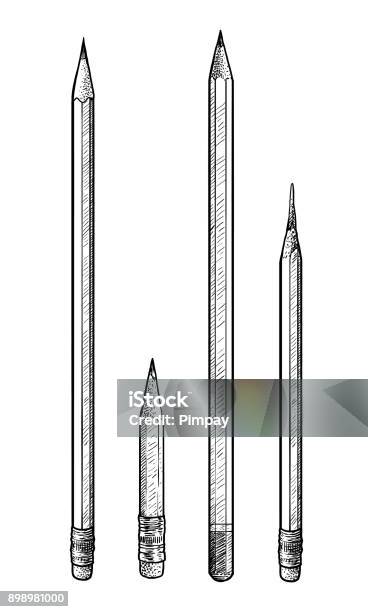 Illustrazione A Matita Disegno Incisione Inchiostro Line Art Vettore - Immagini vettoriali stock e altre immagini di Matita