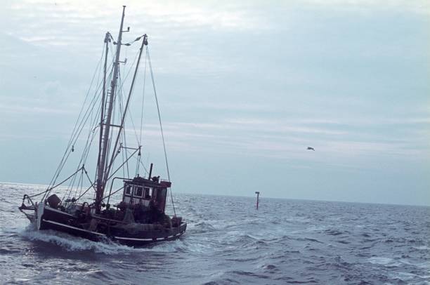 Crab cutter St. Peter Ording, Sylt, Schleswig Holstein, Germany, 1974. Crab cutter in front of the island of Sylt. north sea photos stock pictures, royalty-free photos & images