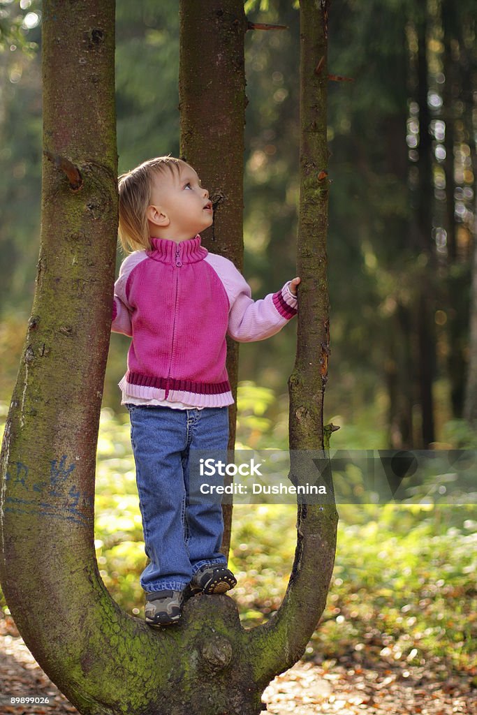 Poco Chica de belleza sobre el árbol - Foto de stock de Aire libre libre de derechos