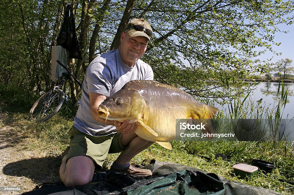 Зеркало Carp. - Стоковые фото Весёлый роялти-фри