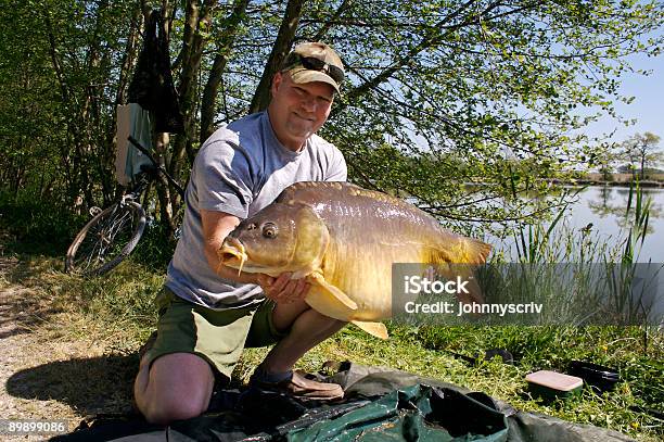 Зеркало Carp — стоковые фотографии и другие картинки Весёлый - Весёлый, Горизонтальный, Карп