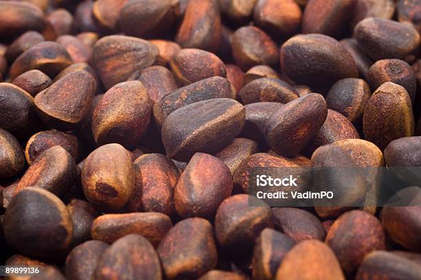 Closeup Ein Haufen Von Cedar Nut Stockfoto und mehr Bilder von Baum - Baum, Braun, Extreme Nahaufnahme