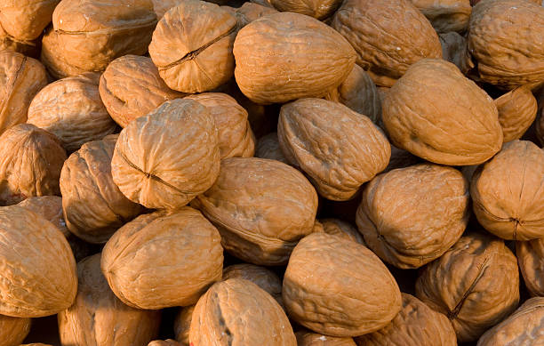 Large Pile of Walnuts stock photo
