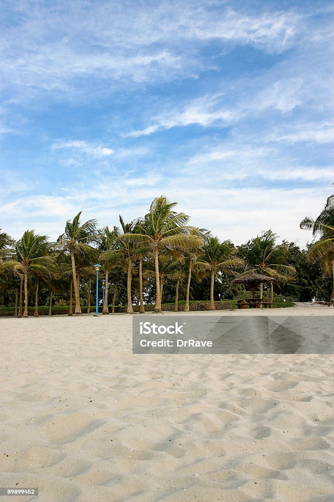 Bela praia de Jumeirah, Dubai - Foto de stock de Datileira royalty-free