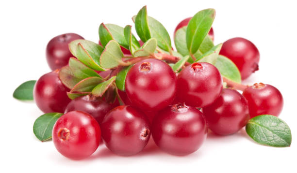 istock Ripe cranberries and green leaves. 898995078