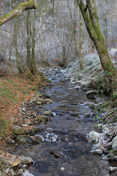 istock Hiking along River Semois - Winter Series 898998482