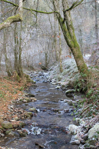 istock Hiking along River Semois - Winter Series 898998498