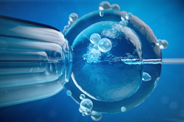 istock 3d illustration artificial insemination, fertilisation, Injecting sperm into egg cell. Assisted reproductive treatment. 898998752