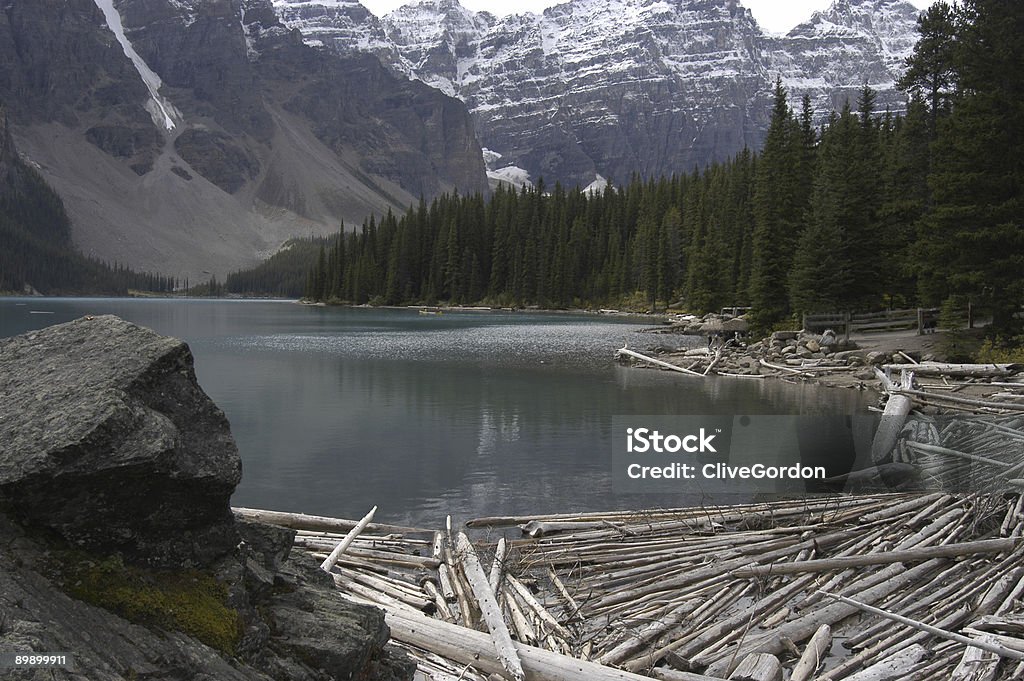 Log jam auf einem edlen lake - Lizenzfrei Baum Stock-Foto