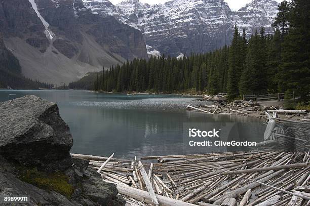 Log Jam Auf Einem Edlen Lake Stockfoto und mehr Bilder von Baum - Baum, Baumstamm am Boden, Berg