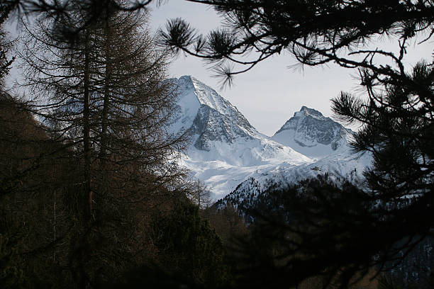 istock hochgall and wildgall 89899957