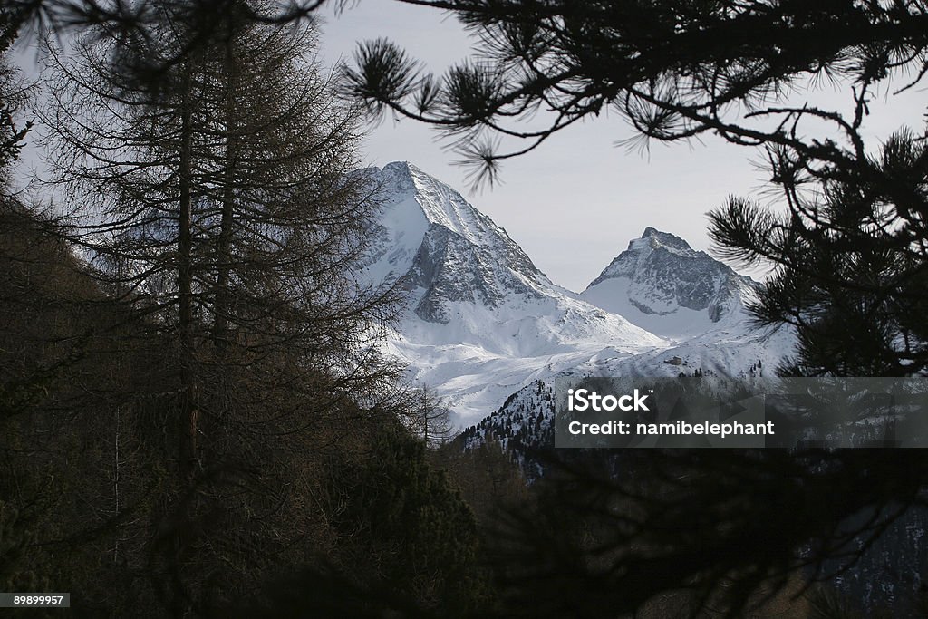 hochgall e wildgall - Royalty-free Alpes Europeus Foto de stock