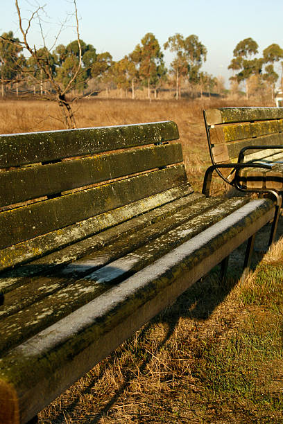Benches on a winter morning stock photo