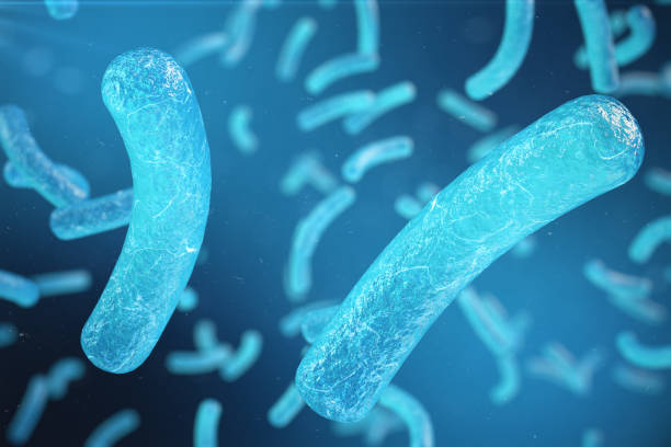 istock Viral hepatitis infection causing chronic liver disease, Hepatitis viruses, 3d illustration 899002552