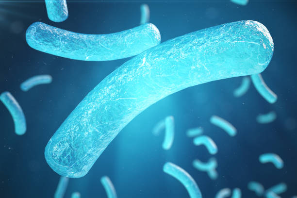 istock 3d Illustration virus, bacteria, cell infected organism, virus abstract background. Hepatitis viruses in infected organism 899002562