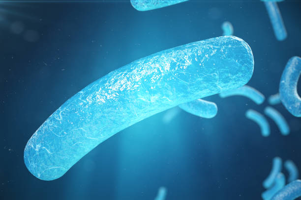 istock 3d Illustration virus, bacteria, cell infected organism, virus abstract background. Hepatitis viruses in infected organism 899002564