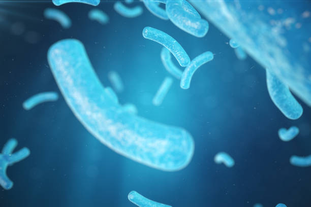istock 3d Illustration virus, bacteria, cell infected organism, virus abstract background. Hepatitis viruses in infected organism 899002570