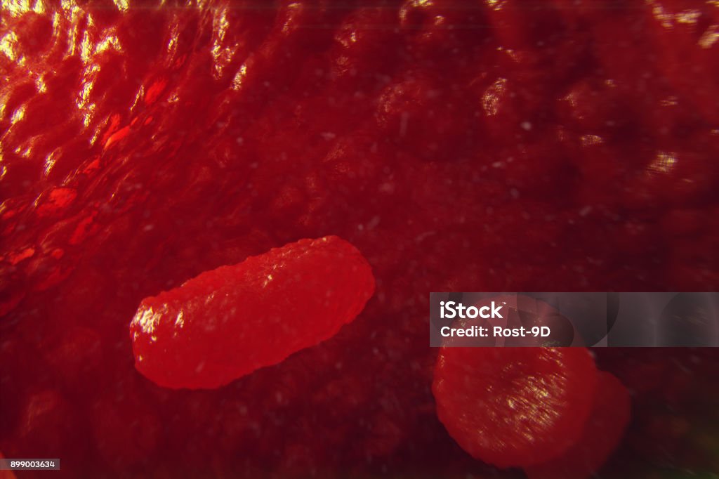 Celulele roșii din sânge în venă sau arteră, curg în interiorul unui organism viu, ilustrare 3d - Fotografie de stoc 3D fără redevențe Celulele roșii din sânge în venă sau arteră, curg în interiorul unui organism viu, ilustrare 3d - Fotografie de stoc 3D fără redevențe