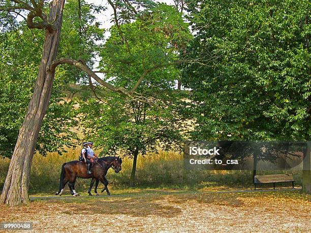 Poliziotti - Fotografie stock e altre immagini di Albero - Albero, Ambientazione esterna, Bosco