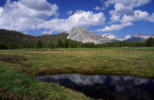 Meadows in Yosemite High country stock photo