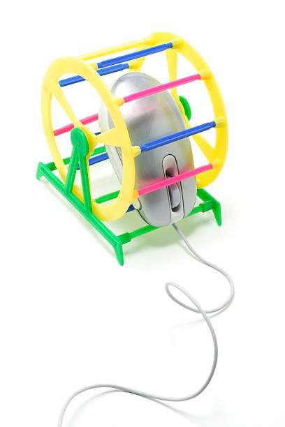 Computer Mouse Treadmill 60+ Mouse Treadmill Stock Photos, Pictures & Royalty-Free Images - iStock
