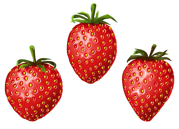 Three fresh sweet strawberries isolated on white (clipart) vector art illustration
