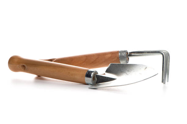 istock Small gardening shovel and fork 899019336