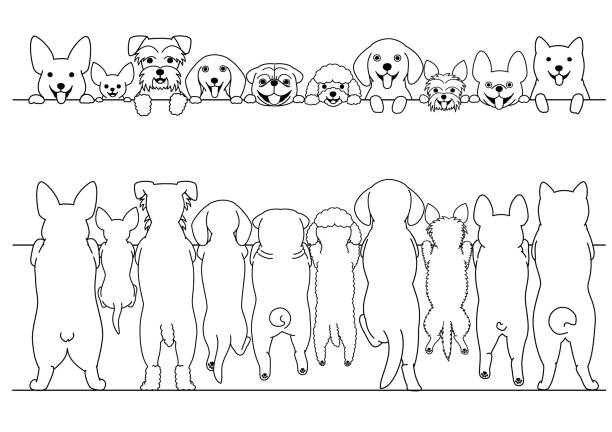 standing small dogs front and back line art border set standing small dogs front and back line art border set. dog poodle pets cartoon stock illustrations