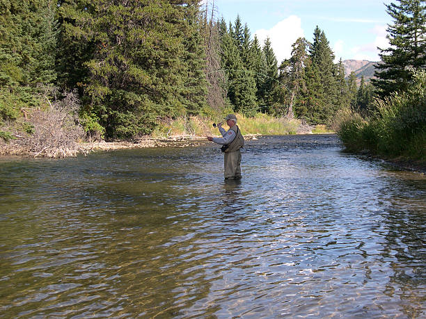 istock Flyfishing High Mountain Rivers 89902150