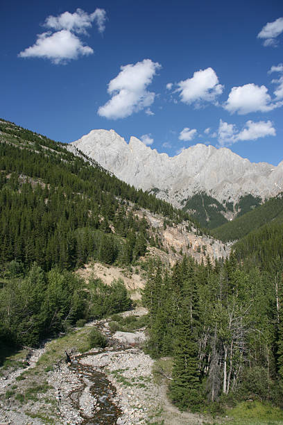 rzeka w góry skaliste - steeple outdoors vertical alberta zdjęcia i obrazy z banku zdjęć