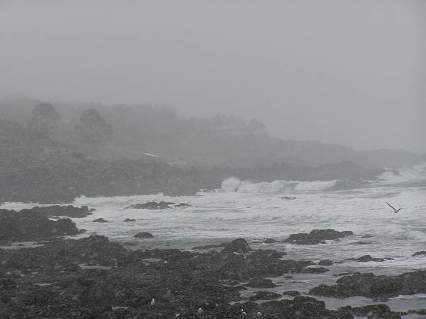 Nor'easter stock photo