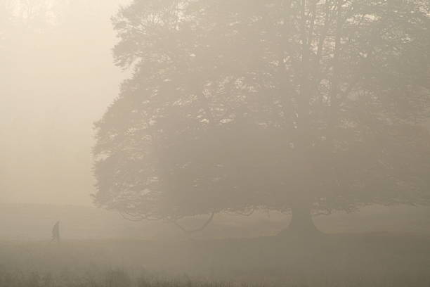 Człowiek idąc przez mist – zdjęcie