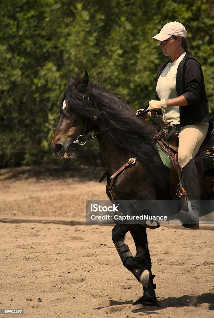 Equestrian Series  Active Lifestyle Stock Photo