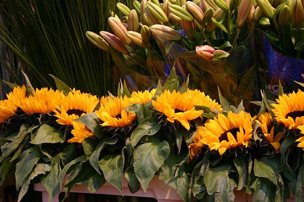 istock Sunflowers and Lily's 89902427