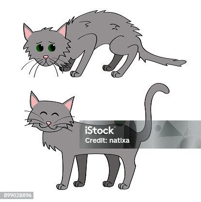 415 Skinny Cat Illustrations & Clip Art - iStock | Fat cat, Old cat,  Domestic cat