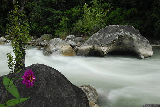 Fast flowing river stock photo