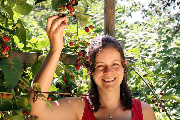 istock Beautiful Girl picking Blackberries 89903182